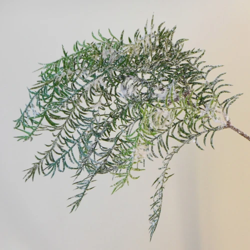 Snowy Christmas Cedar Asparagus Trailing 58cm - X21061 BAY4C