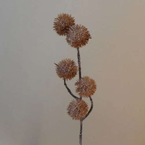 Frosted Artificial Globe Thistle Bronze 53cm - X21038 BAY4C