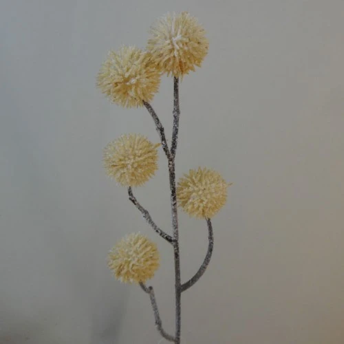 Frosted Artificial Globe Thistle Cream 53cm - X21036 BAY4C