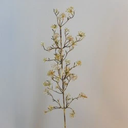 Gold Starburst Stem - 18X007