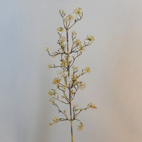 Gold Starburst Stem - 18X007