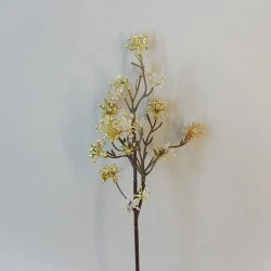 Gold Starburst Pick - 18X008