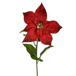 Red Velvet Poinsettia  - X22004 