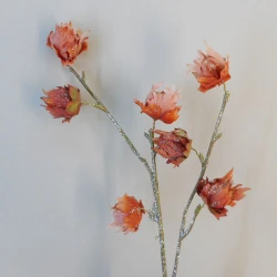 Sparkle Hibiscus Buds Apricot - 18X035 BAY4B