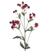 Eco Artificial Astrantia Burgundy 77cm - A084 KK2