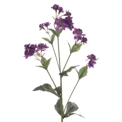 Eco Artificial Astrantia Purple 77cm - A035 KK2