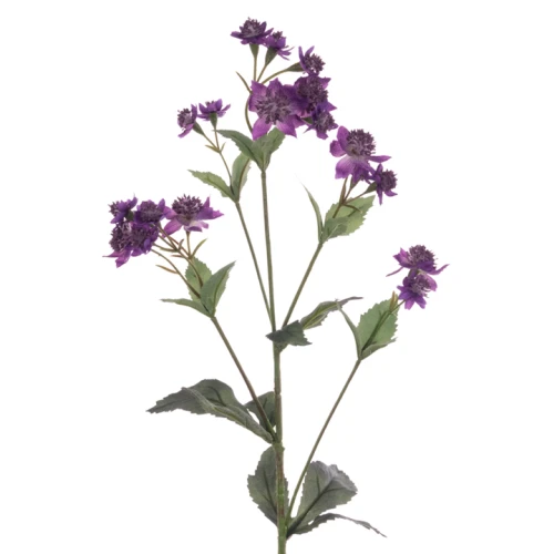 Eco Artificial Astrantia Purple 77cm - A035 KK2