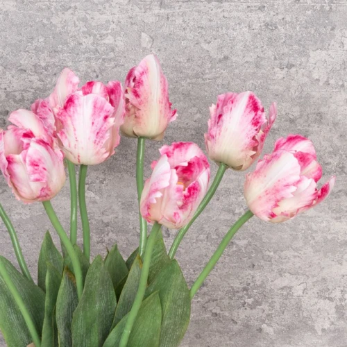 Eco Artificial Parrot Tulip Pink and White 63cm - T047 KK2