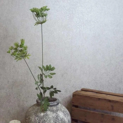 Anethum White 90cm - A005 B2