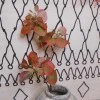Artificial Apple Leaves Autumn Red 85cm - APP002 GG4