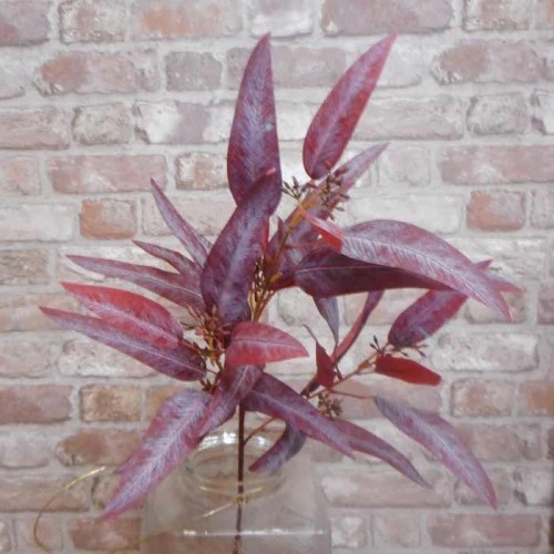 Artificial  Eucalyptus Nicoli Burgundy - EUC027 E4