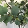 Rydal Artificial Eucalyptus with Seeds 83cm - EUC004 AA2