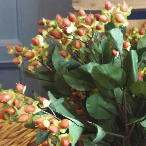 Artificial Hypericum Berries Brown 60cm - H007 E3