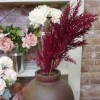 70cm Artificial Pampas Grass Burgundy Red - PAM011 II1