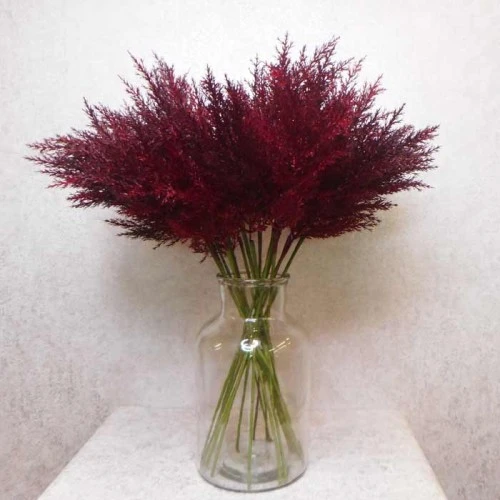 65cm Artificial Pampas Grass Burgundy Red - PAM008 L3