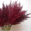 65cm Artificial Pampas Grass Burgundy Red - PAM008 L3