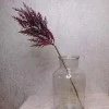 65cm Artificial Pampas Grass Burgundy Red - PAM008 L3