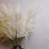 72cm Artificial Pampas Grass Cream - PAM005 S3