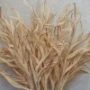 Faux Dried Artificial Reeds Spray Cream 104cm - GRA016 KK4