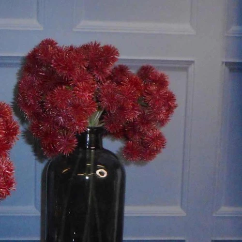 Artificial Echinops Thistles Burgundy 40cm - E003 H3