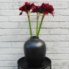 Artificial Amaryllis Flowers Red 55cm - A011 
