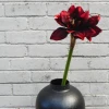 Artificial Amaryllis Flowers Red 55cm - A011 