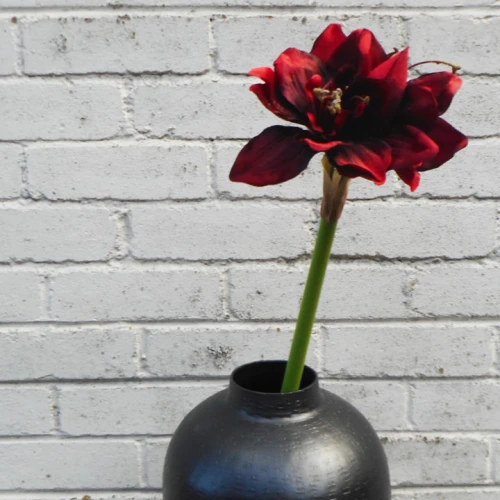 Artificial Amaryllis Flowers Red 55cm - A011 