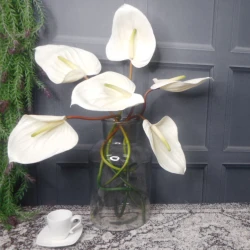 Real Touch Artificial Anthurium Cream 74cm - A132 Q4