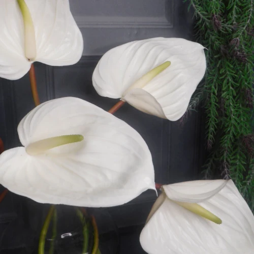 Real Touch Artificial Anthurium Cream 74cm - A132 Q4