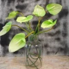 Real Touch Artificial Anthurium Lime Green 74cm - A131 HH3