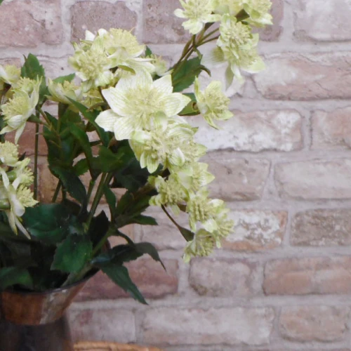 Artificial Astrantia Green Artificial Flowers 50cm - A044 BX4