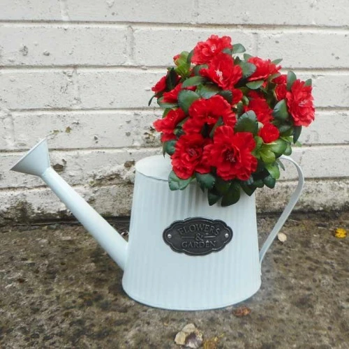 Azalea Plants Red 36cm -  A150 B4