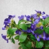 Artificial Bellflowers Purple 47cm - B027  B2