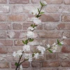 Artificial Cherry Blossom Branch White 89cm - B020 A3