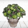 Faux Brassica Ornamental Cabbage Green 40cm - C202 C4