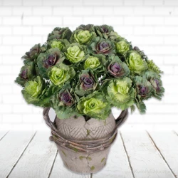 Faux Brassica Ornamental Cabbage Green 40cm - C202 C4