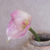 Artificial Calla Lilies Real Touch Pink Cream 70cm - L065 LL2