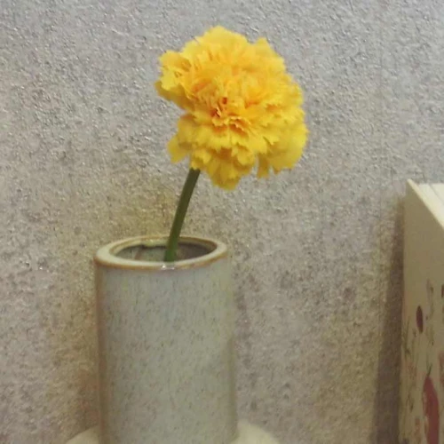 Mini Artificial Carnations on Short Stem Yellow 31cm - C106 C4