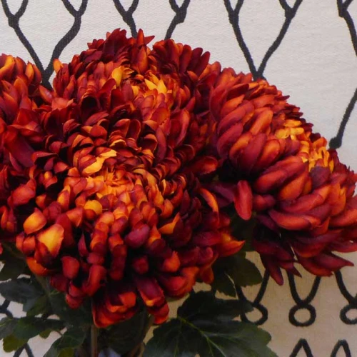 Artificial Bloom Chrysanthemum Dark Orange 73cm - C020 