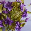 Galaxy Clematis Purple 78cm - C051 D2