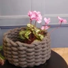 Silk Cyclamen Plants Pink 24cm - C014B P4