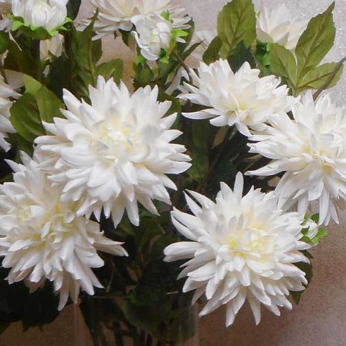 Artificial Dahlias Spray Creamy White 102cm - D200 CC3