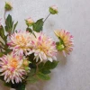 Artificial Dahlias Spray Pink Cream 102cm - D201 CC1