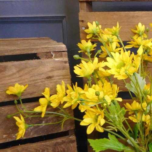 Artificial Daisy Stem Yellow 56cm - D205 C2