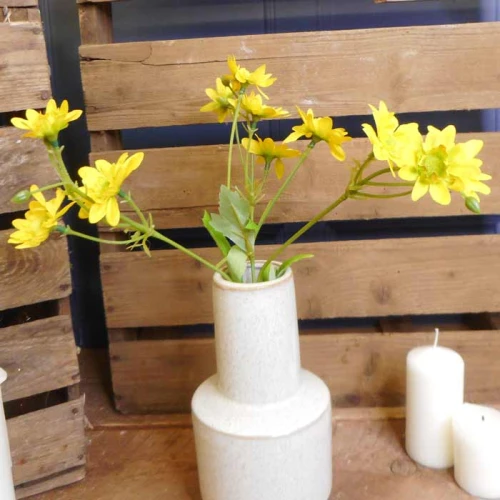 Artificial Daisy Stem Yellow 56cm - D205 C2