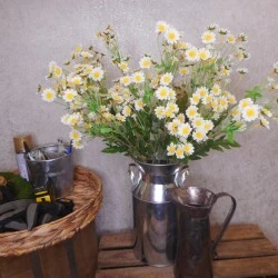 Galvanised Milk Churn - CHU001 