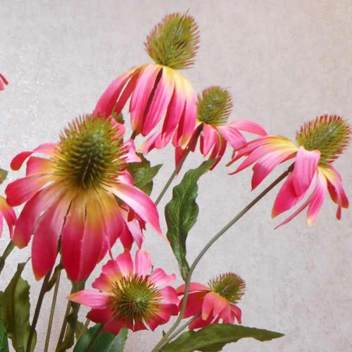 Artificial Rudbeckia Daisies Pink 71cm - R480 Q3