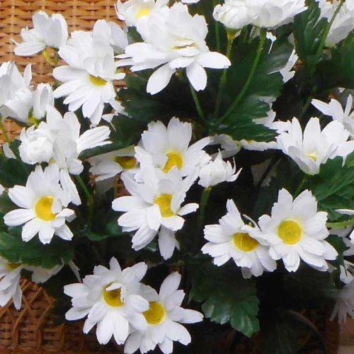 Silk Daisy Bunch White 49cm - D026 