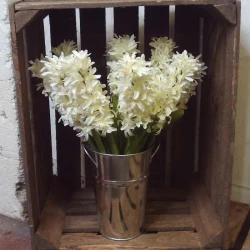 Artificial Hyacinth Plants Cream 43cm - H020 JJ2