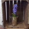 Artificial Hyacinth Plants Purple 43cm - H023 BX22